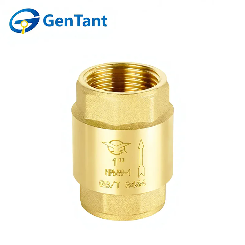 How Does a Spring Check Valve Improve System Efficiency?