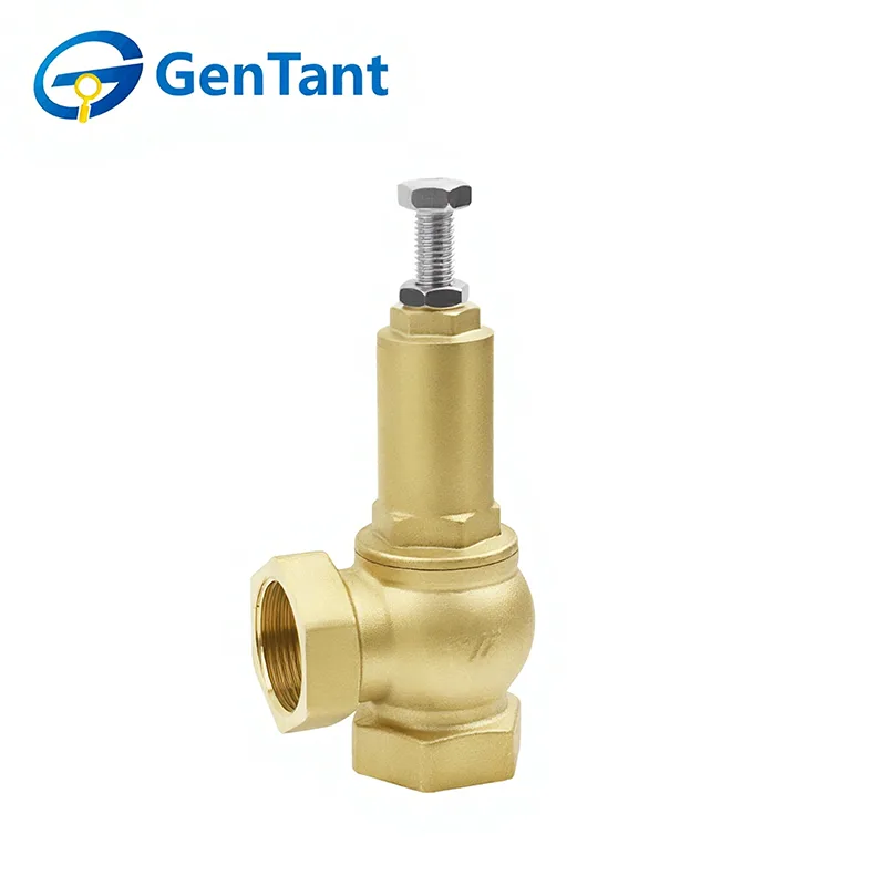Bypass Safety Valve