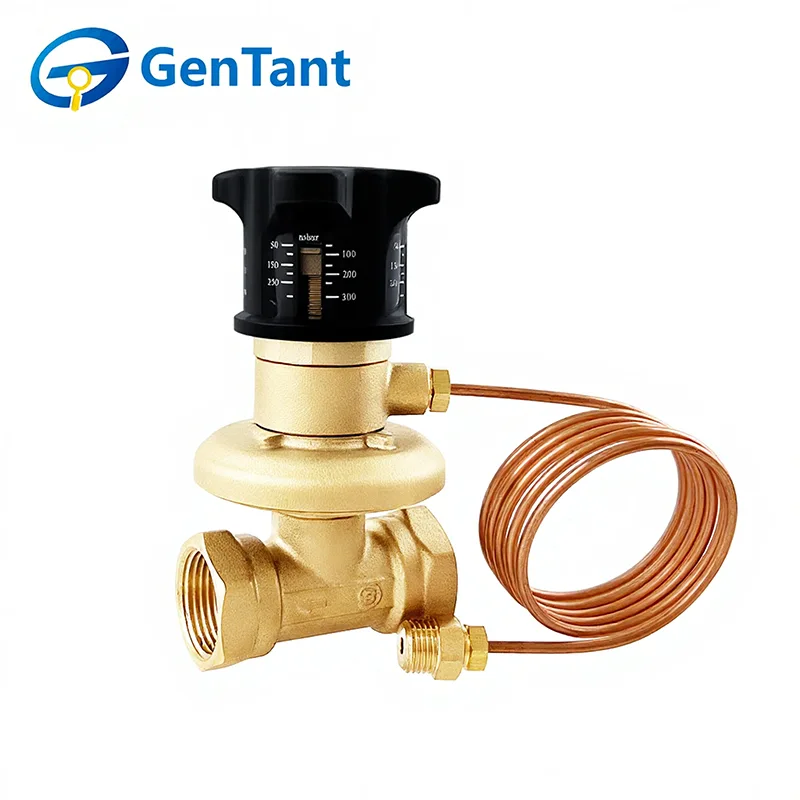 Differential Pressure Control Valve