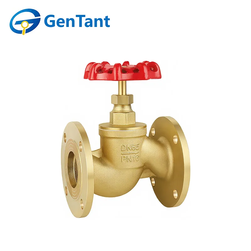 Flanged Globe Valve