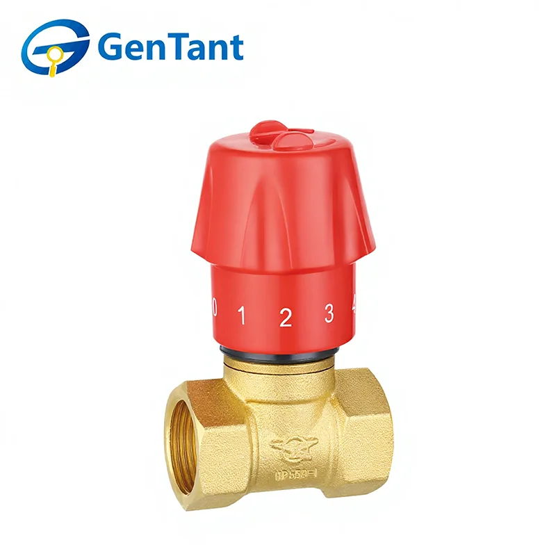 Flow Control Globe Valve
