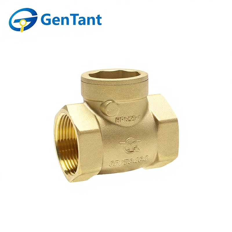 Horizontal Check Valve