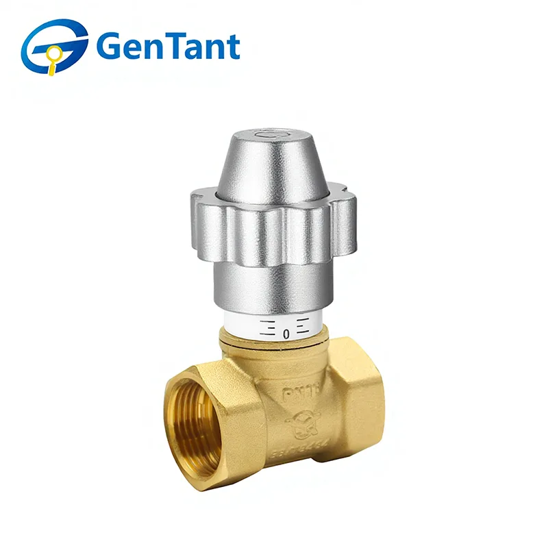 Magnetic Lockable Flow Control Globe Valve