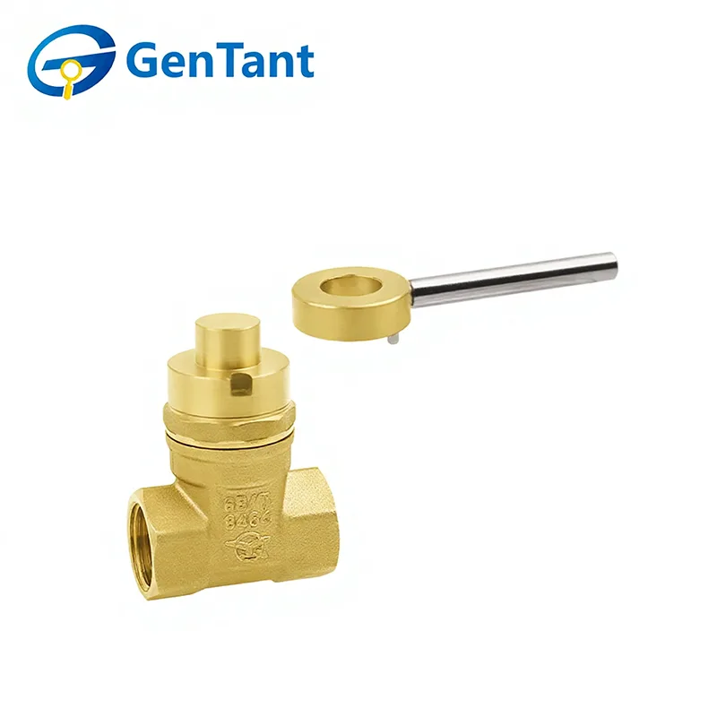 Medium-Duty Lockable Gate Valve