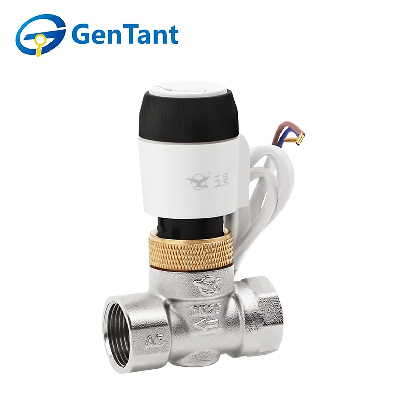 Motorized Globe Valve
