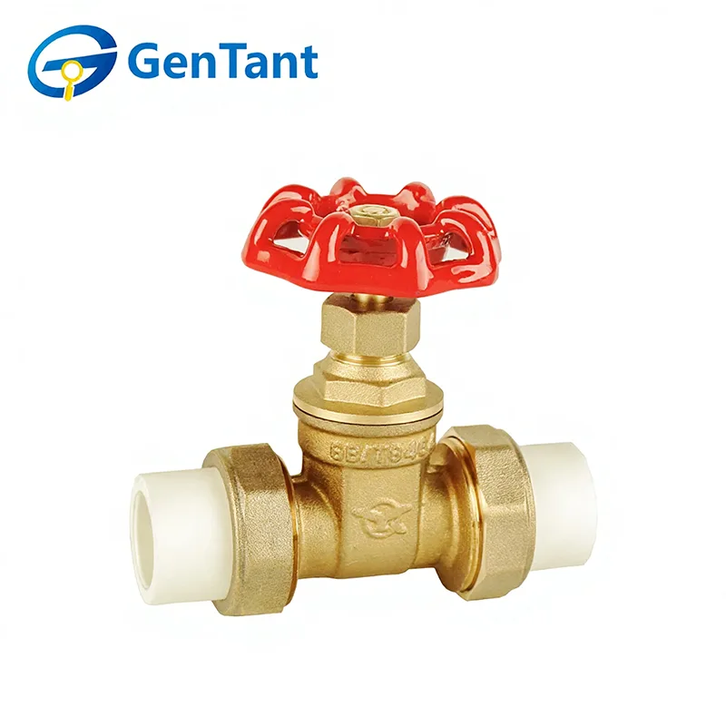 PPR Double Union Gate Valve