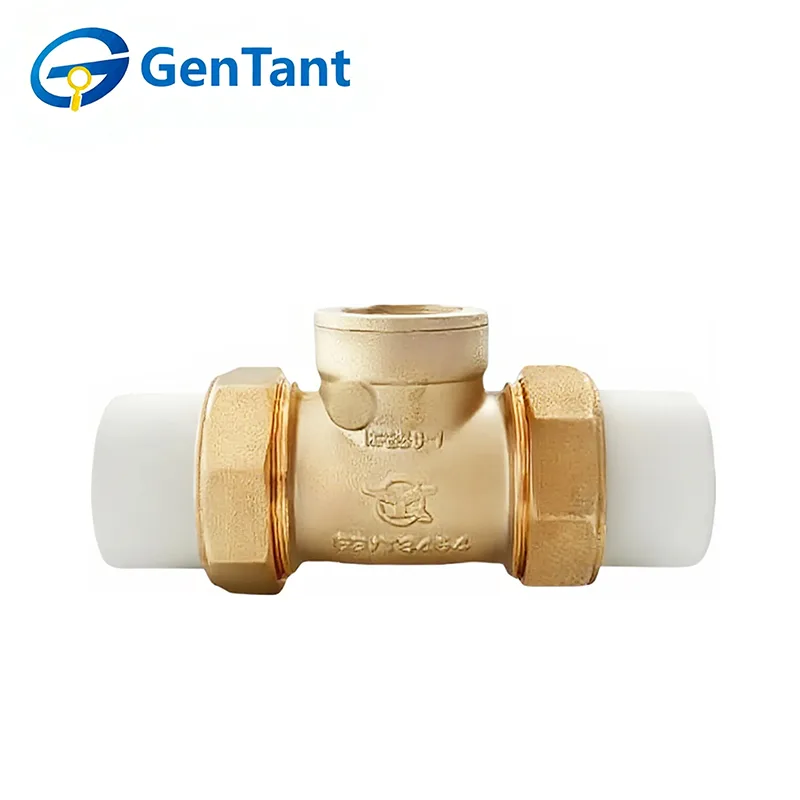 PPR Horizontal Check Valve