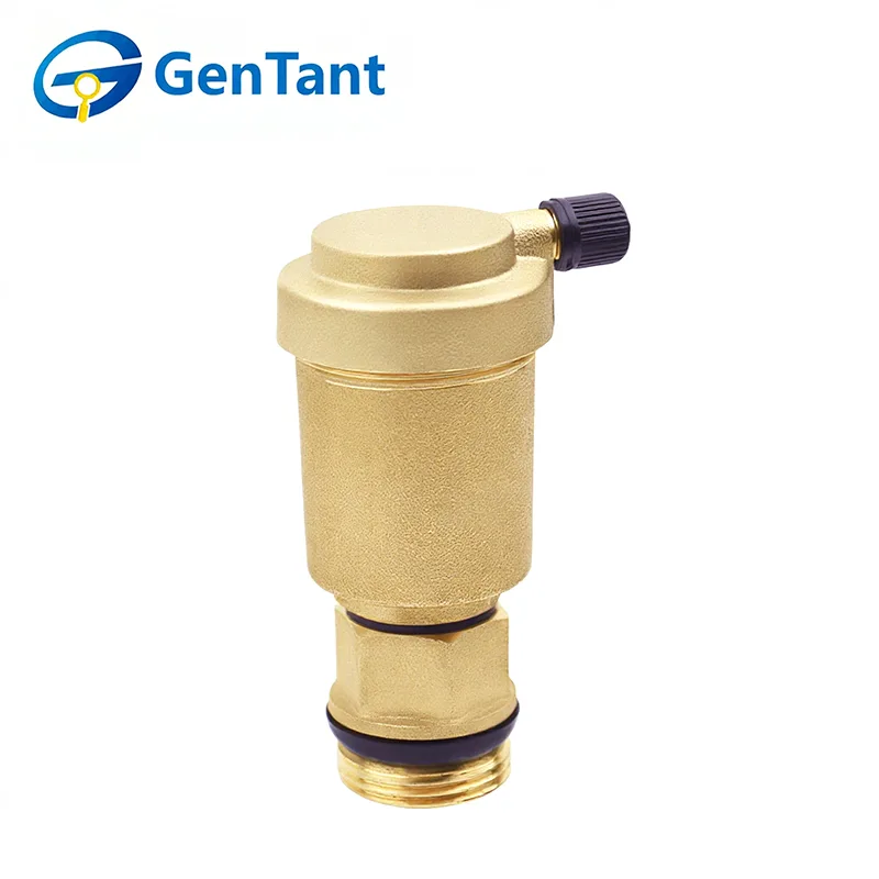 Side Outlet Automatic Air Vent Valve