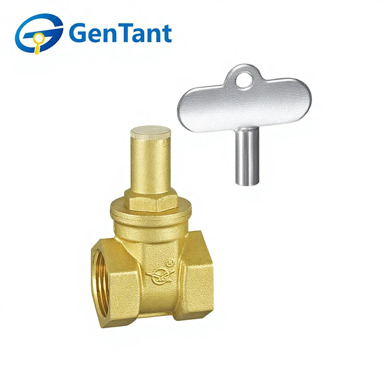 Triangle Lockable Gate Valve