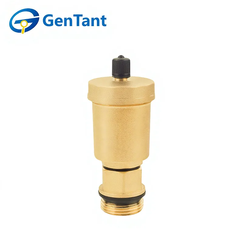 Vertical Automatic Air Vent Valve