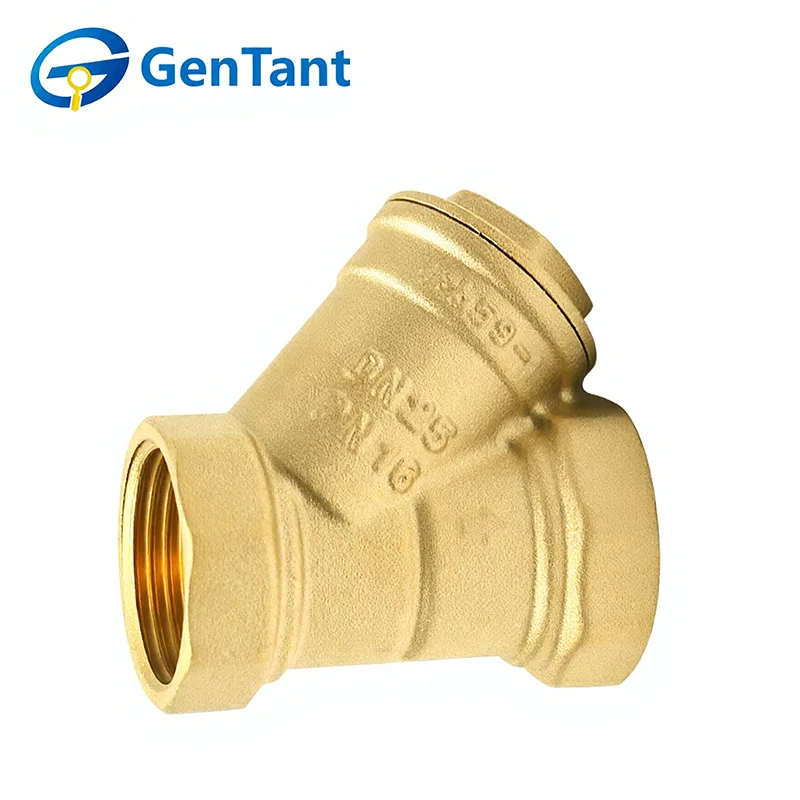 Y-Type Strainer Valve